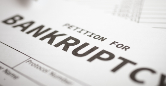 Bankruptcy Advocates